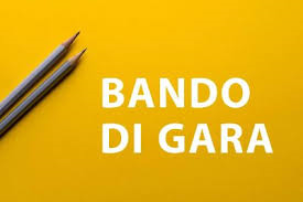 Avvio procedura di gara per laffidamento in concessione del servizio di gestione del micro nido comunale.