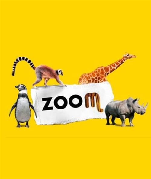 Ingresso gratuito al Bioparco Zoom